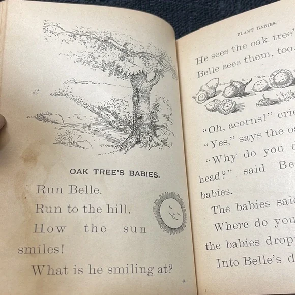 First Edition (1898) “Plant Babies and Their Cradles”, Educational Pub. Co. - Picture 10 of 15